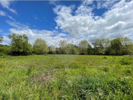  Land in Cendufe, Portugal No. 59116