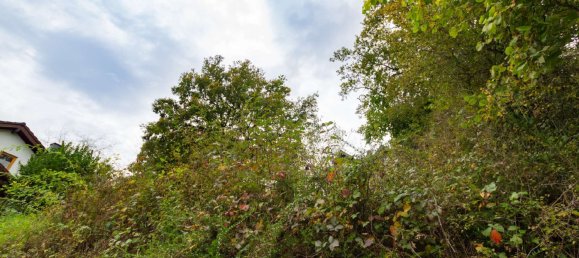 Grundstück in Ahrweiler, Germany 636m², Nr. 145253 3