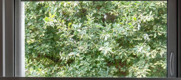 3 bedrooms House in Saint-Paul-les-Dax, France No. 102550 25