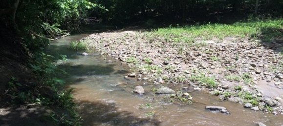 Terrain à Liberia, Costa Rica No. 1391 3