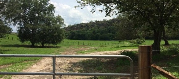 Terrain à Liberia, Costa Rica No. 1391 4