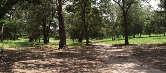 Terrain à Liberia, Costa Rica No. 1391 5