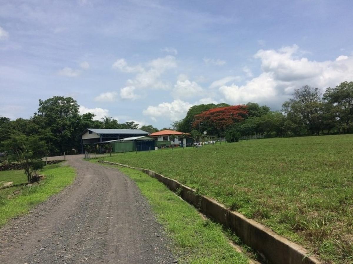 Terrain à Liberia, Costa Rica No. 1391