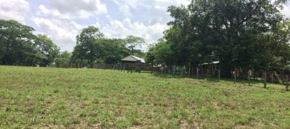 Terrain à Liberia, Costa Rica No. 1391 2