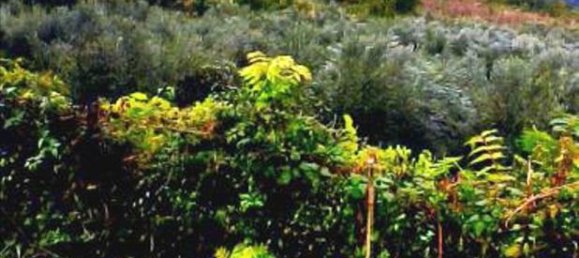 2920m² Hotel in Veria, Greece No. 7084 2