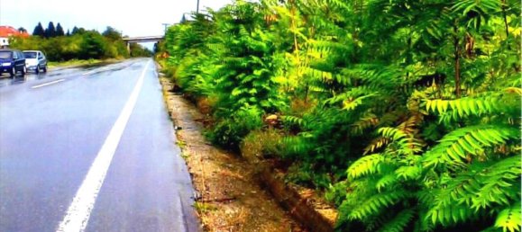 2920m² Hotel in Veria, Greece No. 7084 4