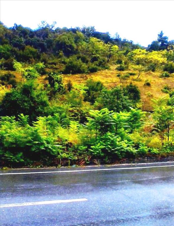 2920m² Hotel in Veria, Greece No. 7084