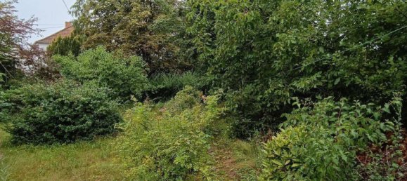 8 rooms Townhouse in Neunkirchen, Germany No. 261107 5