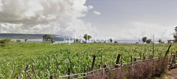 Terrain à Sumbawa, Indonesia 44670m² No. 3800 4