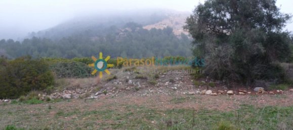 Casa T1 em Barxeta, Spain N.º 26601 26