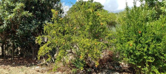 Terreno en Ferla, Italy 8400 m² No. 176483 18