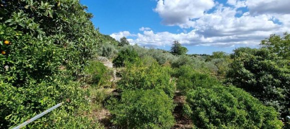 Terreno en Ferla, Italy 8400 m² No. 176483 9