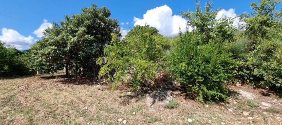 Terreno en Ferla, Italy 8400 m² No. 176483 17