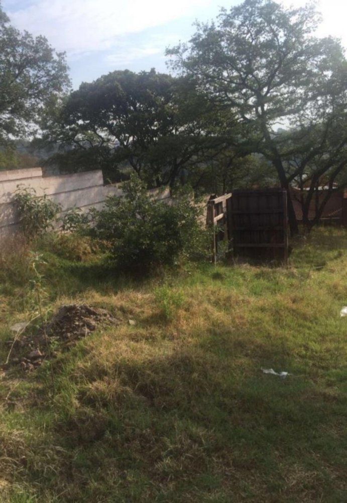 Земельный участок в Сьюдад Лопес Матеос, Мексика № 203127