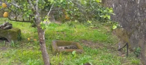 Casa de 3 dormitorios en A Guarda, Spain No. 139923 9