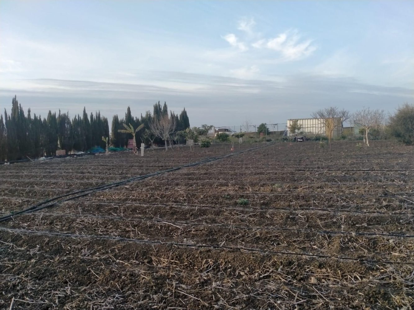 2500m² Land in Chipiona, Spain No. 249669