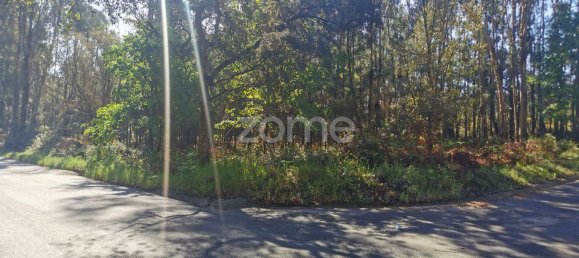 Grundstück in Agueda, Portugal 2650m², Nr. 80512 5