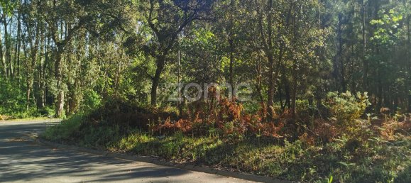 Grundstück in Agueda, Portugal 2650m², Nr. 80512 2