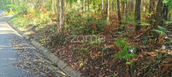 Grundstück in Agueda, Portugal 2650m², Nr. 80512 6