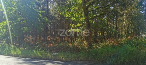 Grundstück in Agueda, Portugal 2650m², Nr. 80512 4