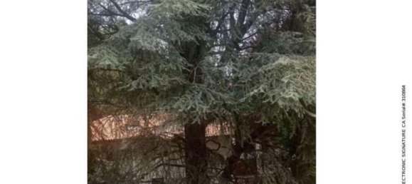 2-Zimmer Wohnung in Malnate, Italy, Nr. 5393 6