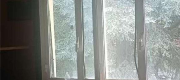 2-Zimmer Wohnung in Malnate, Italy, Nr. 5393 15