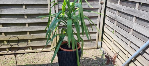 2غرفة شقة في Bregenz, Austria رقم 149673 9