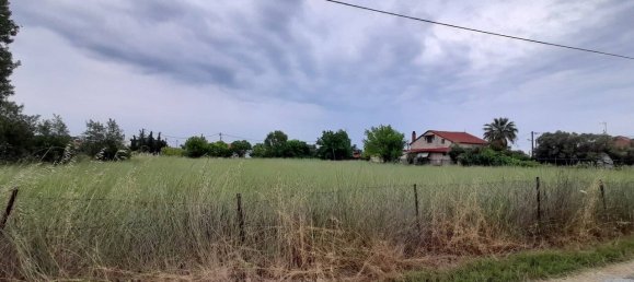 Hotel in Chalkidiki, Greece 2396m², Nr. 3598 3