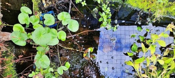 Casa T2 em Odenwaldkreis, Germany N.º 306030 21