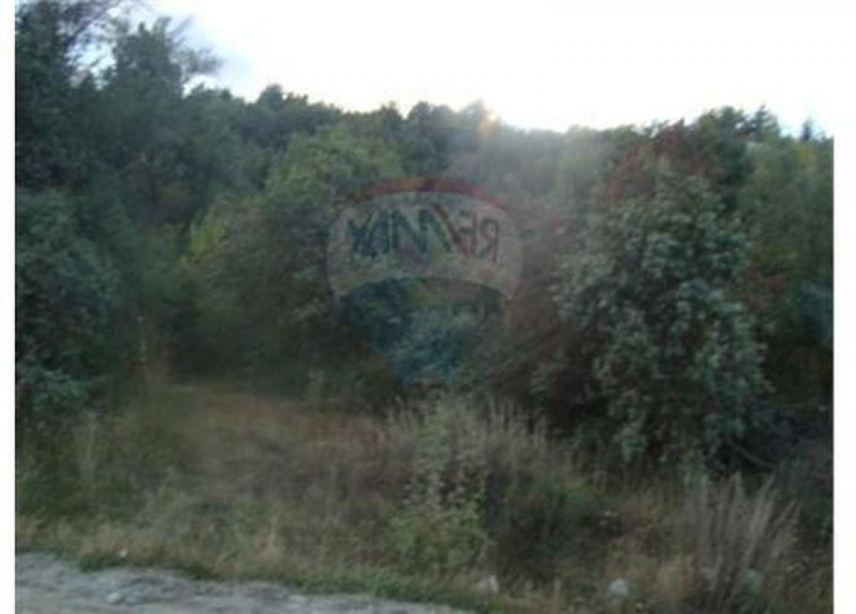 Grundstück in San Carlos de Bariloche, Argentina, Nr. 48090