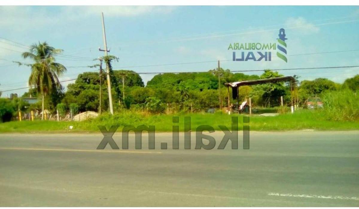 Земельный участок в Веракрус, Мексика № 205901