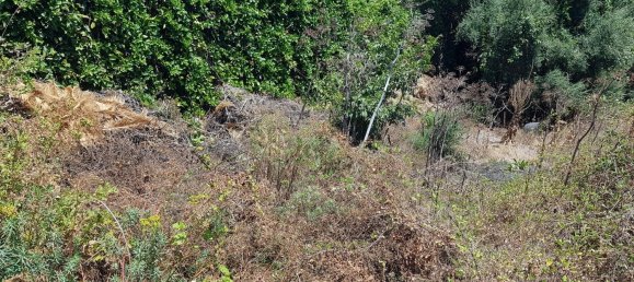  قطعة أرض في San Giovanni la Punta, Italy 4000متر مربع رقم 251473 7