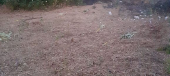  قطعة أرض في San Giovanni la Punta, Italy 4000متر مربع رقم 251473 2