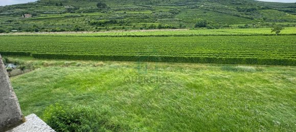 10 rooms Villa in Cazzano di Tramigna, Italy No. 231061 41