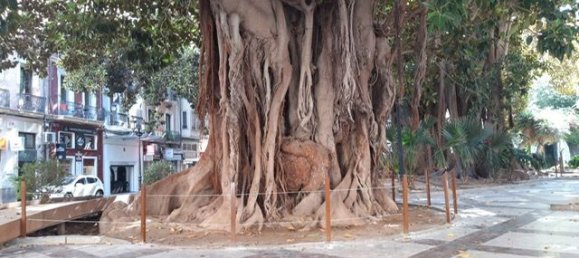 3 Schlafzimmer Wohnung in Alicante, Spain, Nr. 20214 8