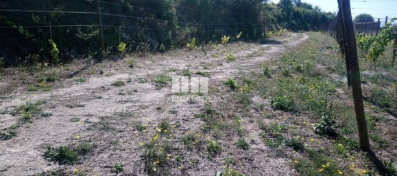 Grundstück in Gove, Portugal 16636m², Nr. 57470 2