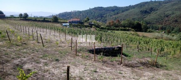 Grundstück in Gove, Portugal 16636m², Nr. 57470 10