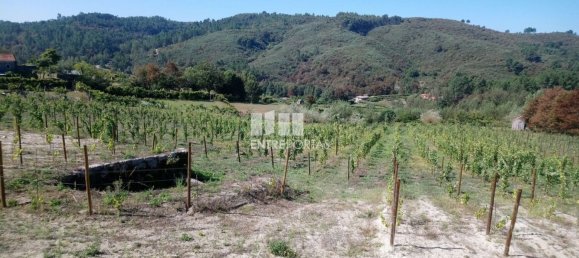 Grundstück in Gove, Portugal 16636m², Nr. 57470 9