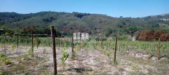 Grundstück in Gove, Portugal 16636m², Nr. 57470 14