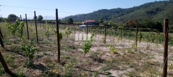 Grundstück in Gove, Portugal 16636m², Nr. 57470 5