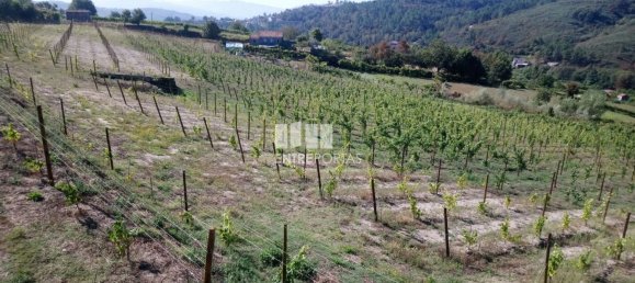 Grundstück in Gove, Portugal 16636m², Nr. 57470 18