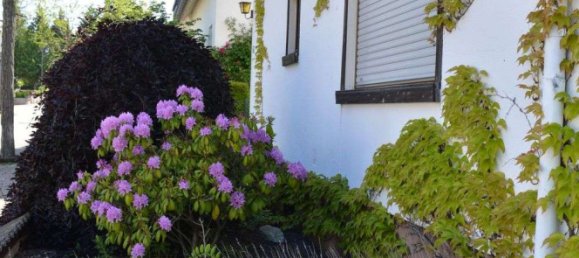 2 غرف نوم منزل في Rhein-Hunsruck, Germany رقم 191009 4