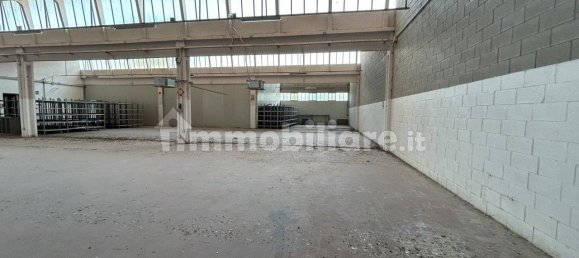 4-Zimmer Lagerhaus in Pinarolo Po, Italy, Nr. 311103 15
