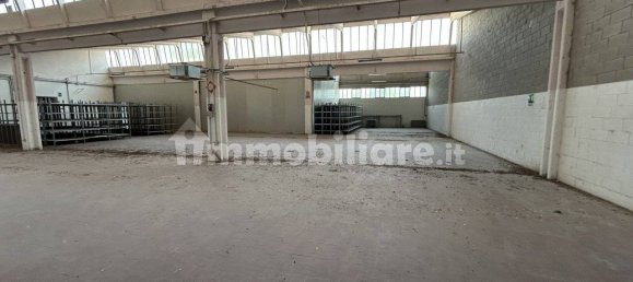 4-Zimmer Lagerhaus in Pinarolo Po, Italy, Nr. 311103 18