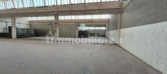 4-Zimmer Lagerhaus in Pinarolo Po, Italy, Nr. 311103 17