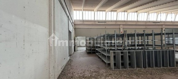 4-Zimmer Lagerhaus in Pinarolo Po, Italy, Nr. 311103 22