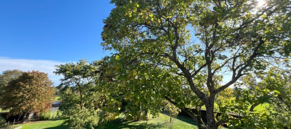 6 Schlafzimmer Haus in Saint-Pierre-les-Etieux, France, Nr. 209126 21