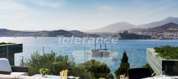 Villa 4+1 in Bodrum, Turkey No. 12361 9