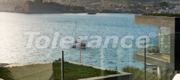 Villa 4+1 in Bodrum, Turkey No. 12361 4