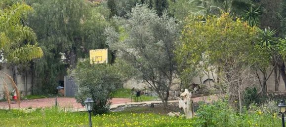 4 غرف نوم عقار تجاري في Akrounta, Cyprus رقم 19926 6